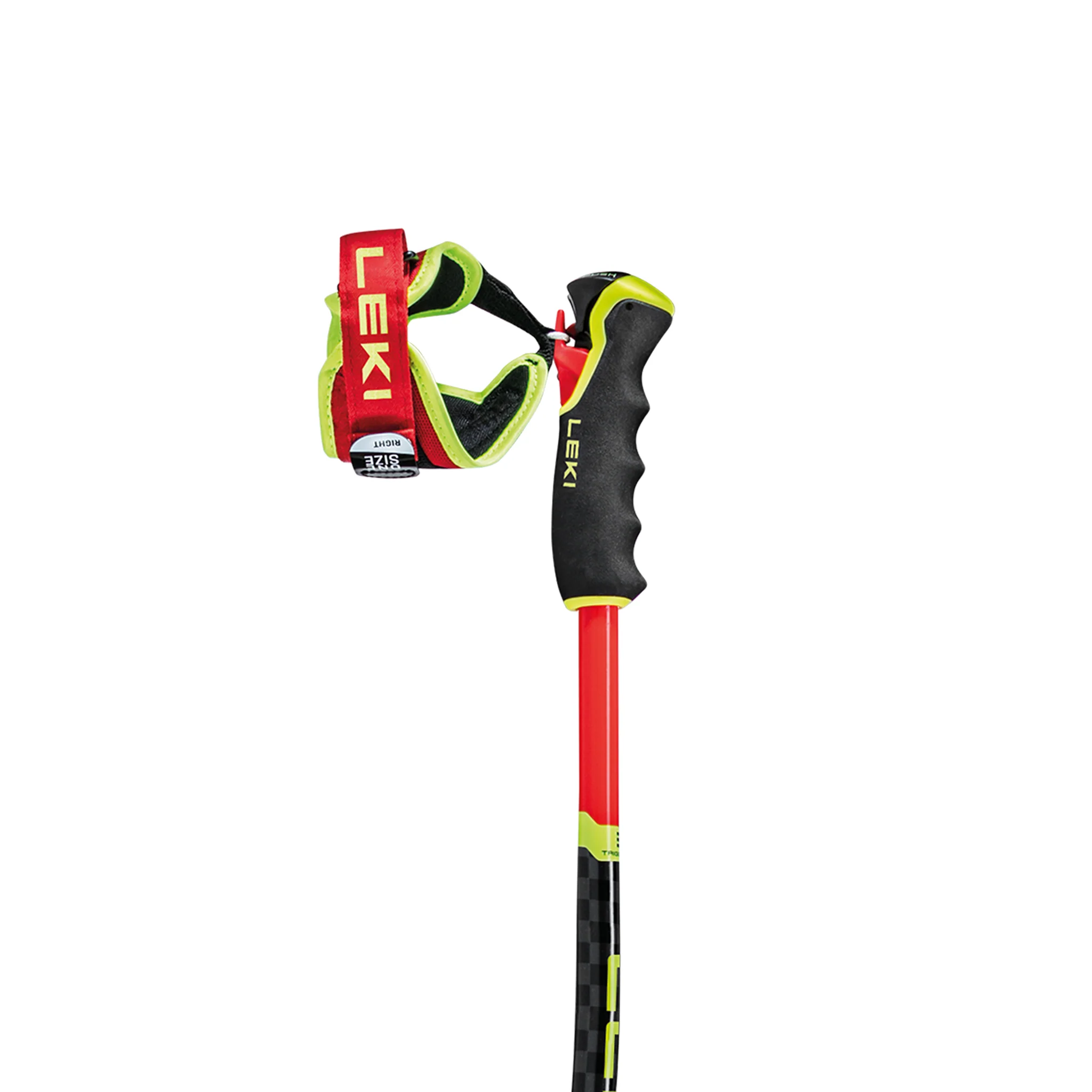 WCR TBS GS 3D - Image 2