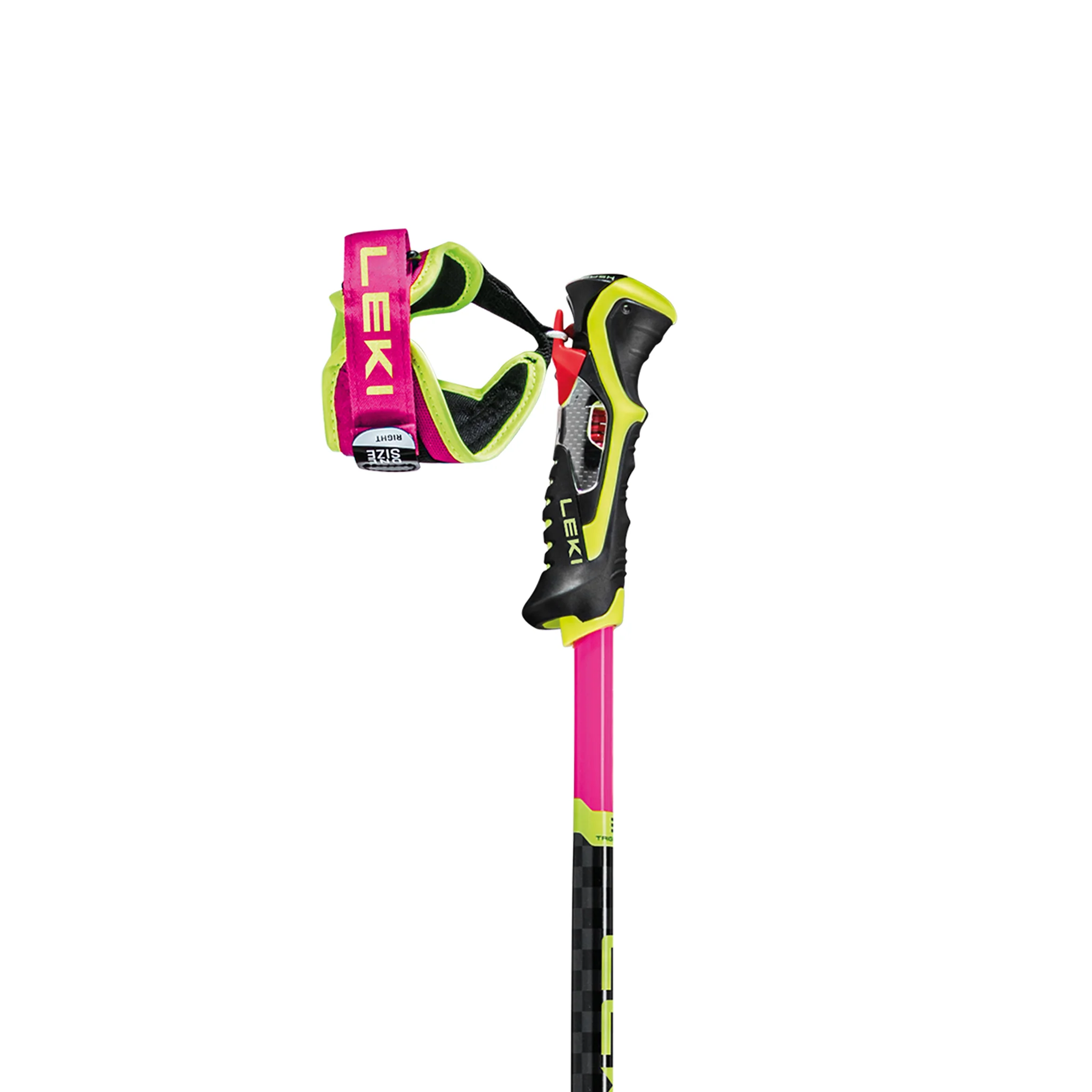 WCR TBS SL 3D - Image 2